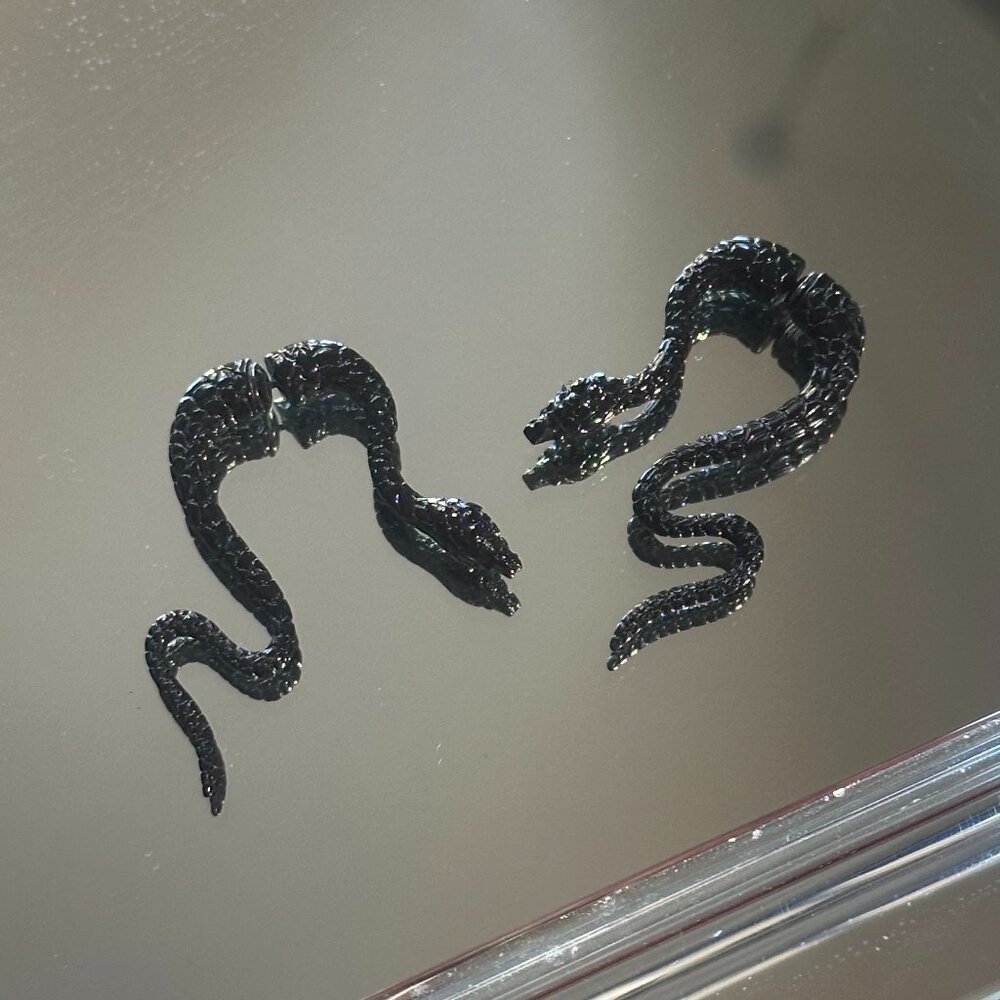 Black Snake Earrings